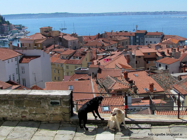 Piran Slovenija