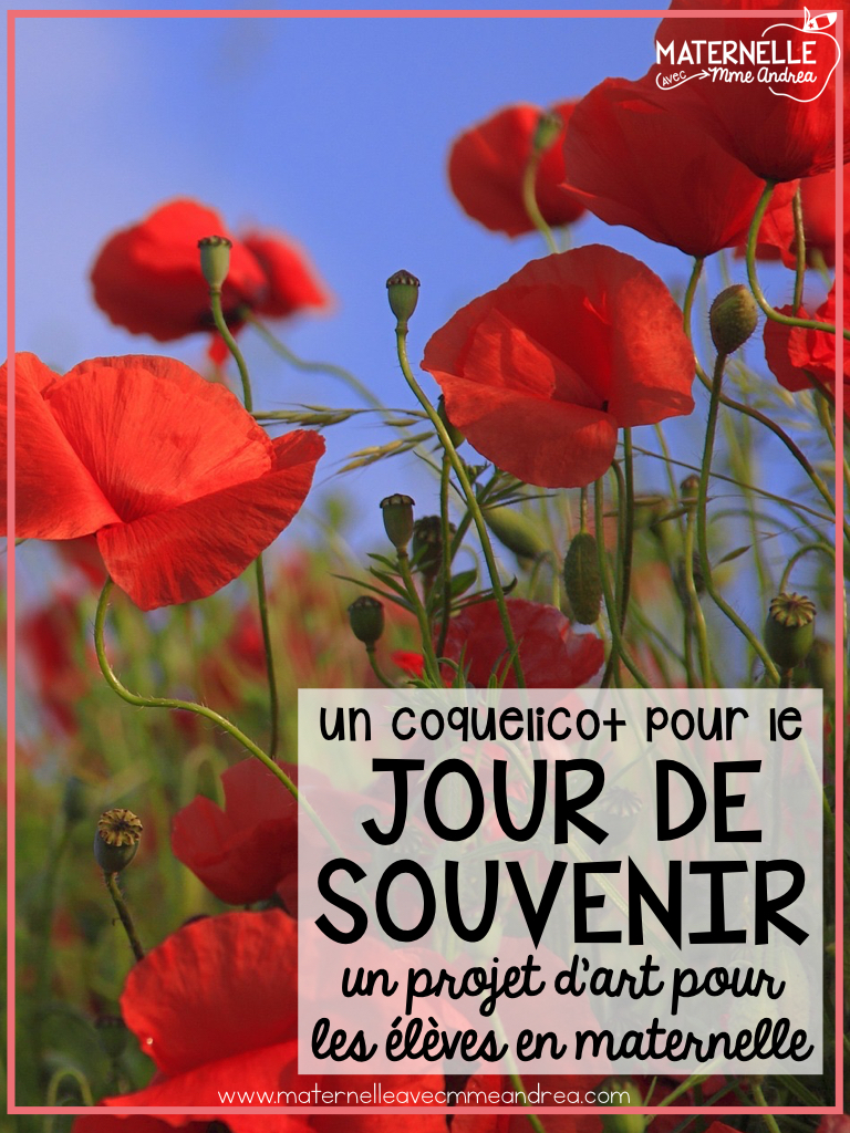 Un coquelicot pour se souvenir Maternelle avec Mme Andrea