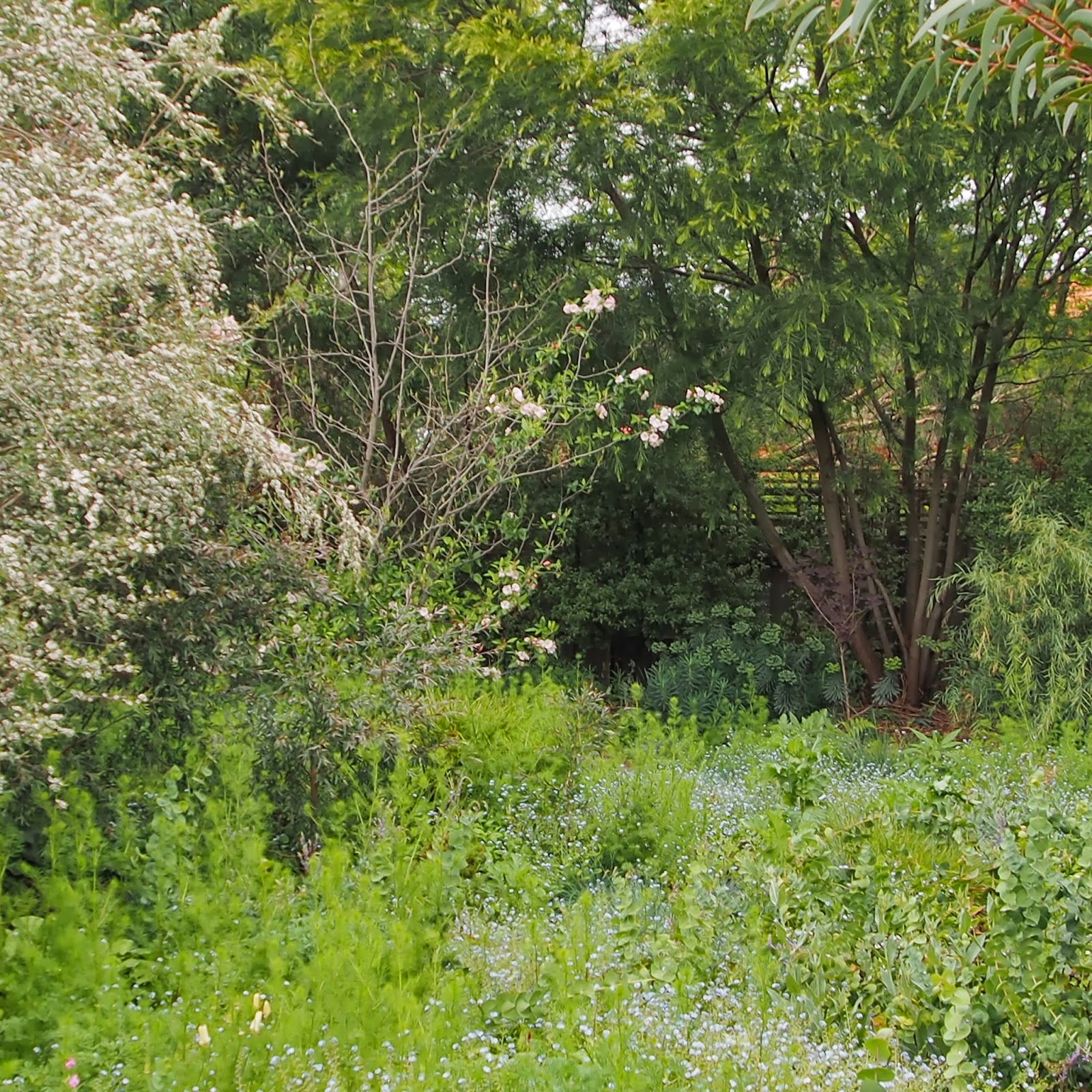 garden's at its best in spring