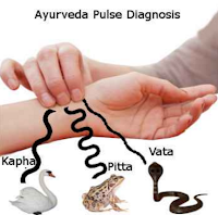 Ayurveda pulse Diagnosis