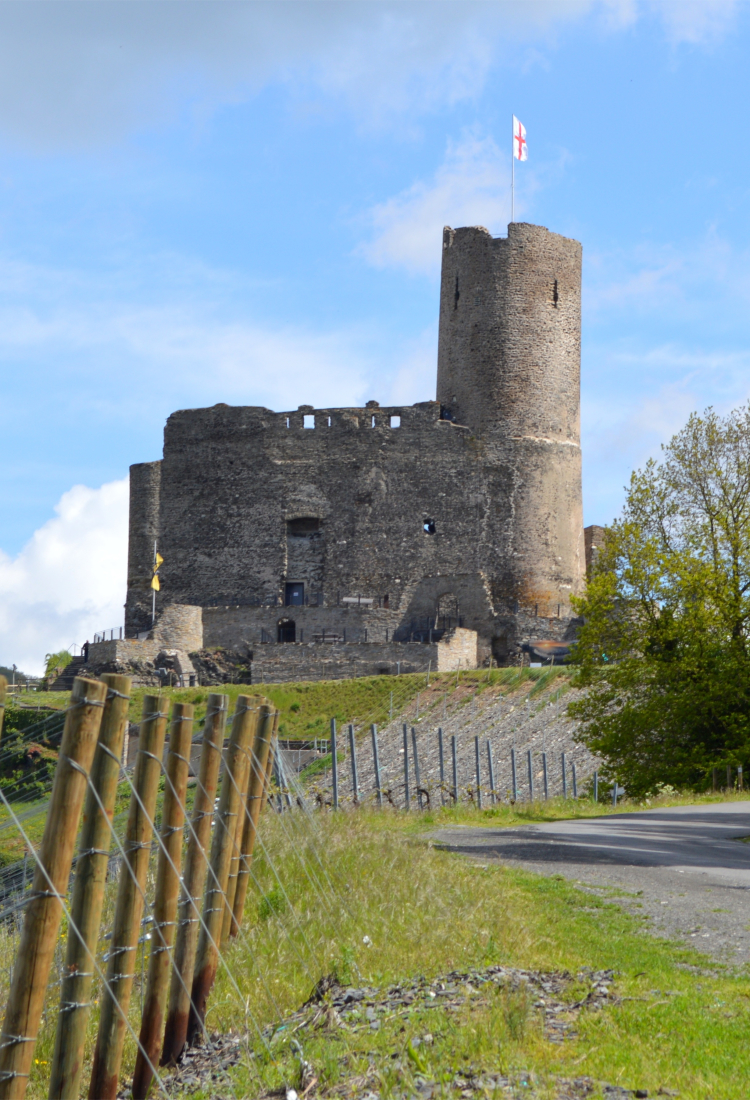 Der Wanderfreund Rundwanderung Trittenheim An Der Mosel
