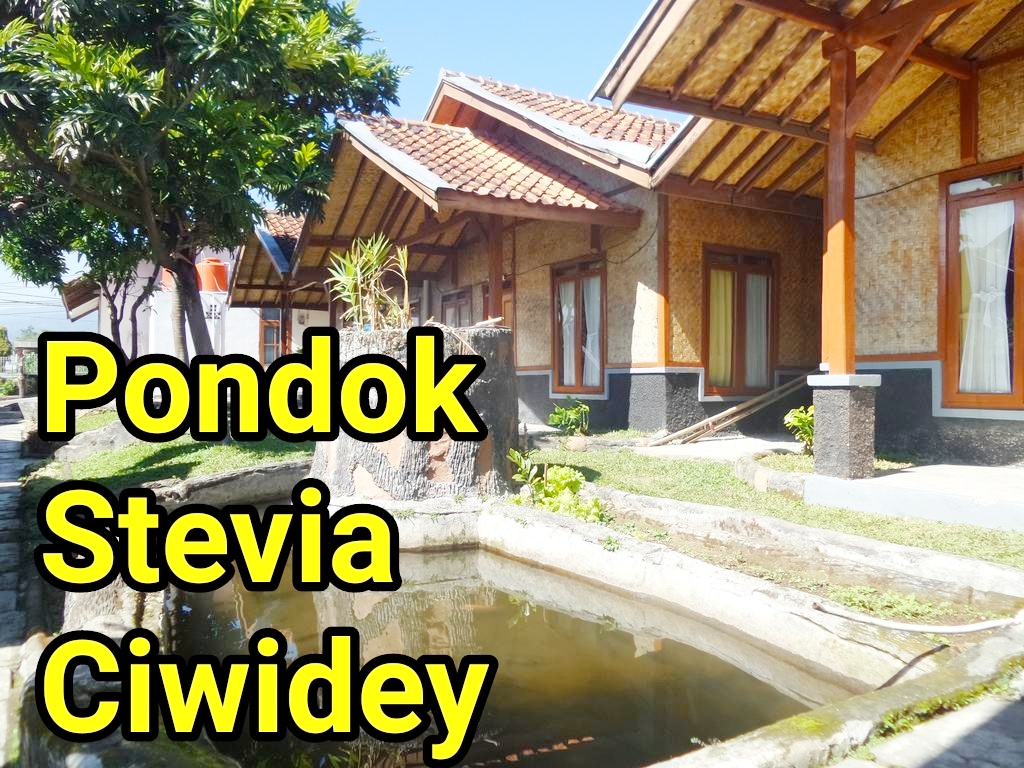 Pondok Stevia Penginapan Murah Bernuansa Keluarga
