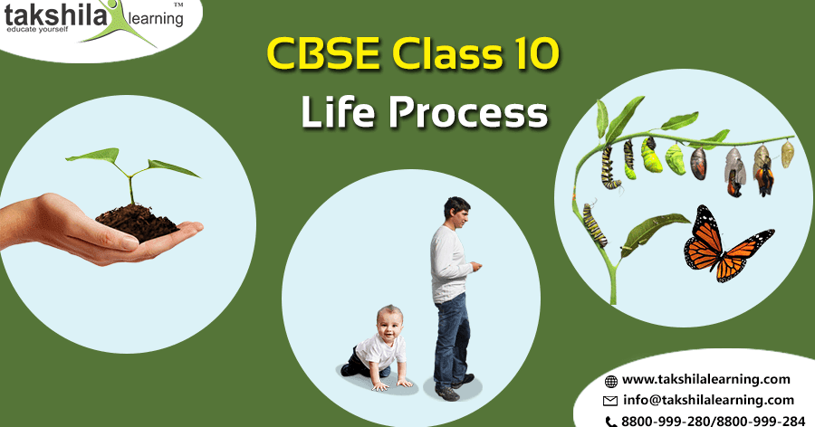 Processes of Life. Science book Chapter 1 Life processes of Living things. Life process: Mrs Green. Life processes