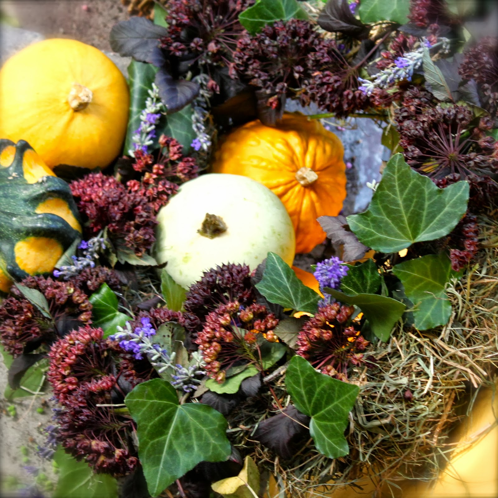 Mein Blog über Garten, Landhaus, Shabby & co: Herbst-Kranz ...