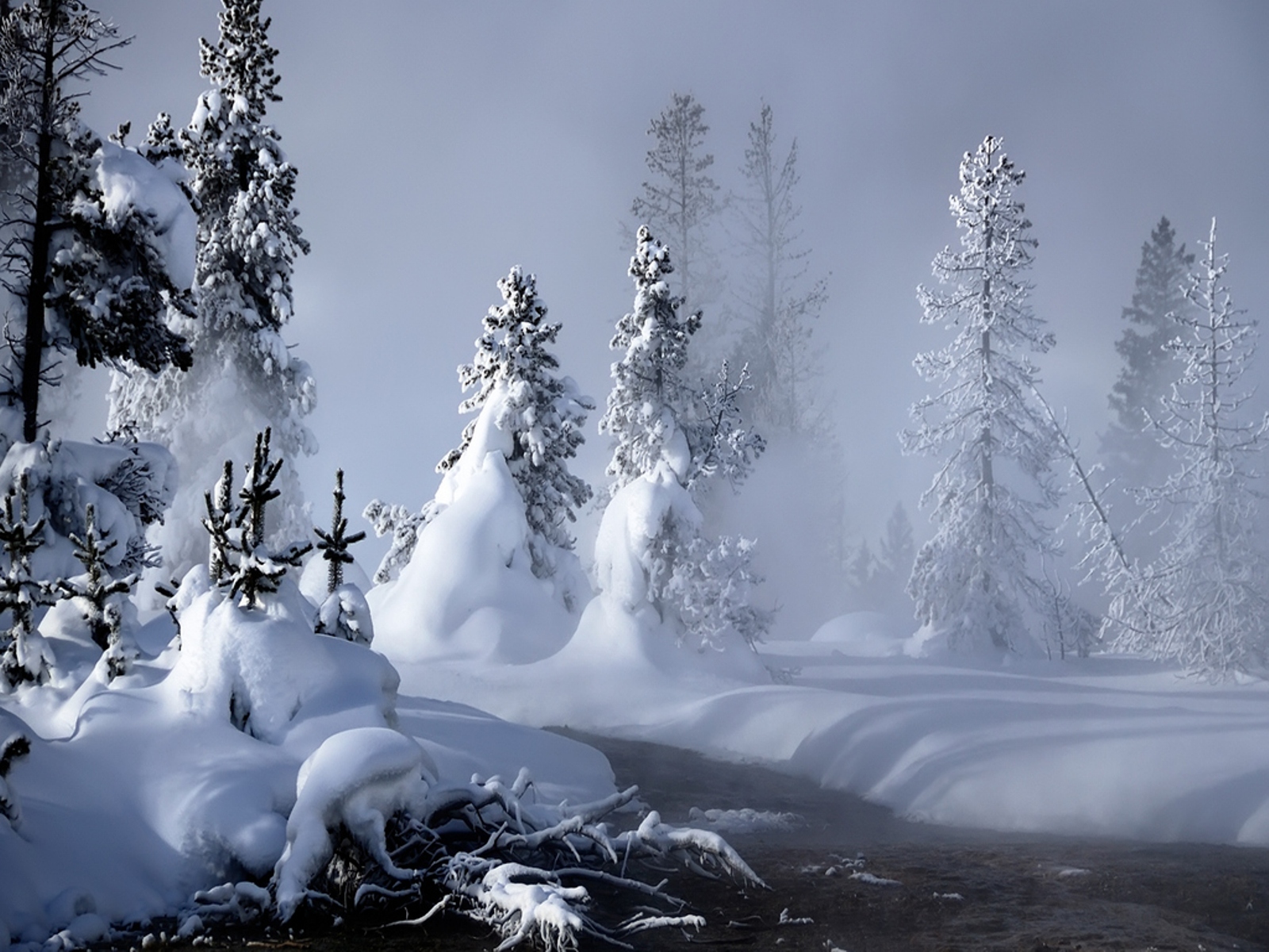Wallpapers: Winter Scenery