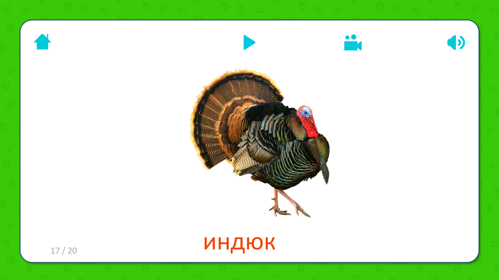 Звуковая схема слова индюк