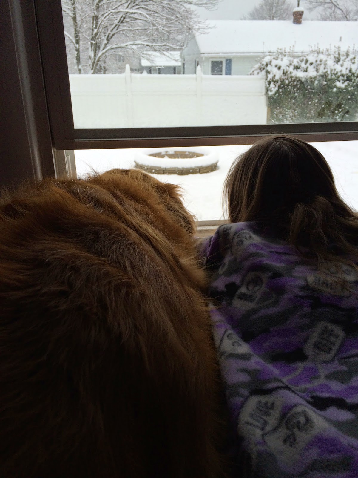 dog and girl watching snowflakes fall