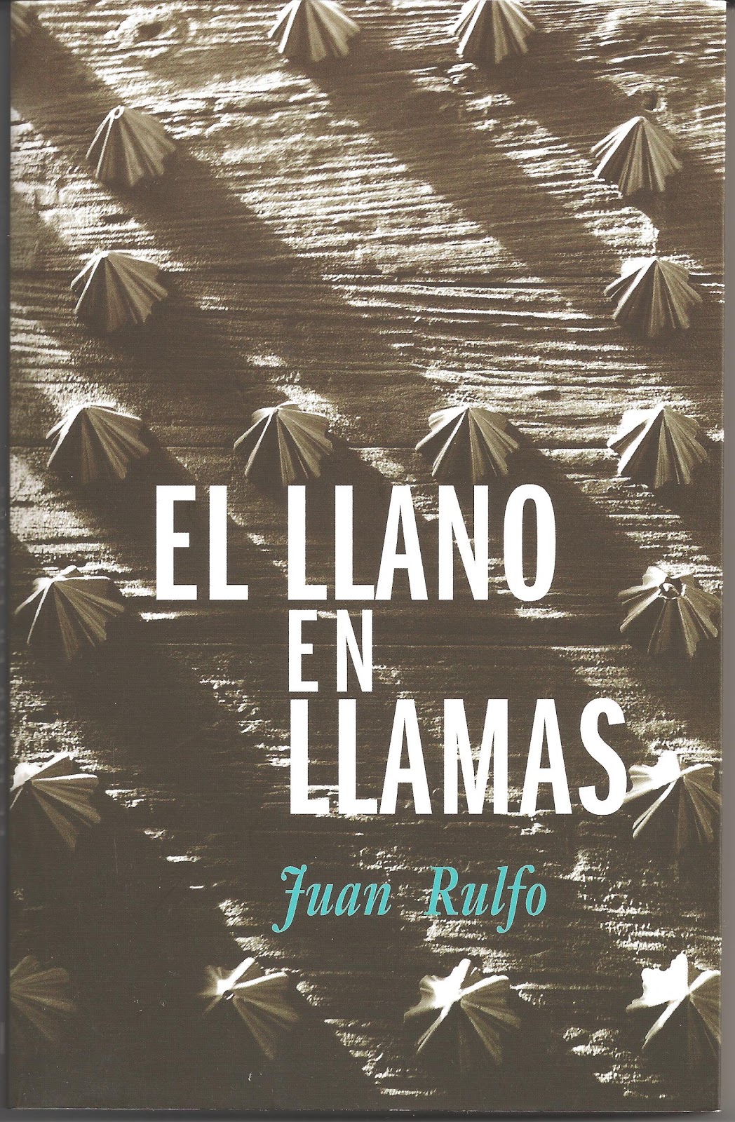 Blog de Arinda: 16 DE MAYO DE 1917 NACIÓ JUAN RULFO