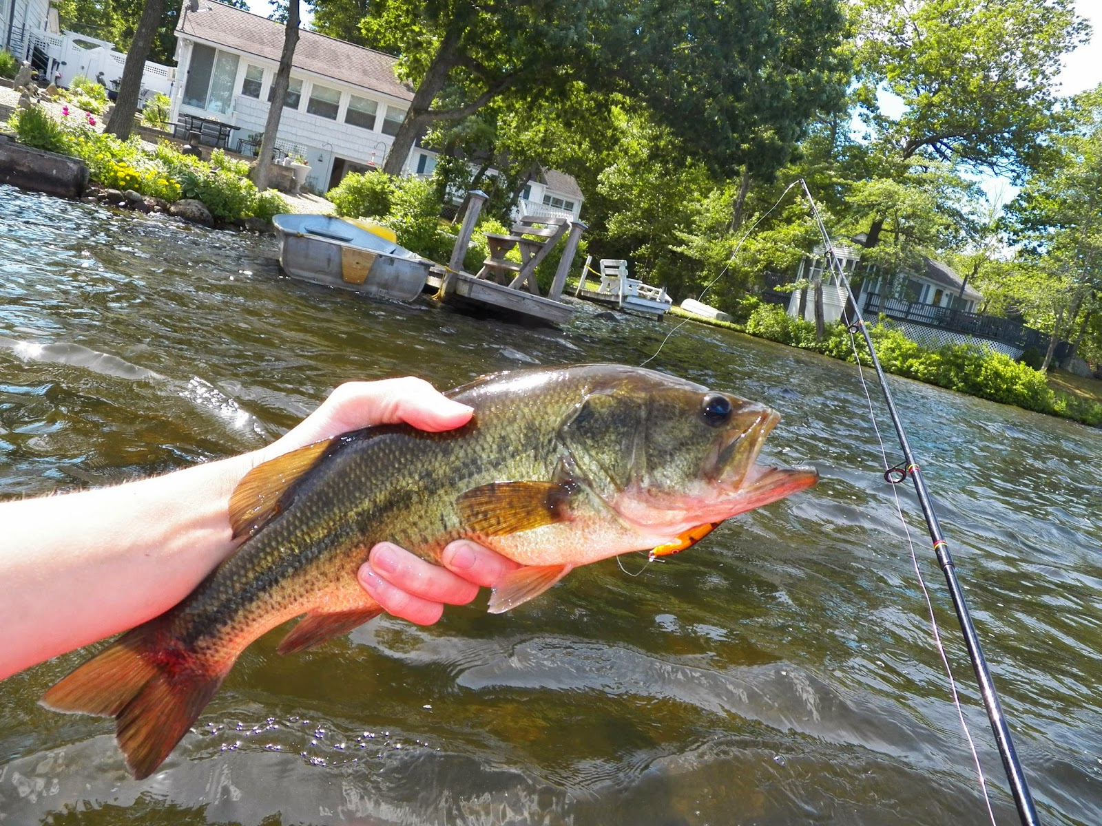 Connecticut Fly Angler Great Hill Pond