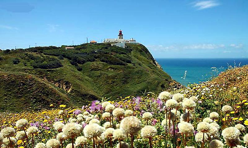 Natural Park of Sintra / Cascais