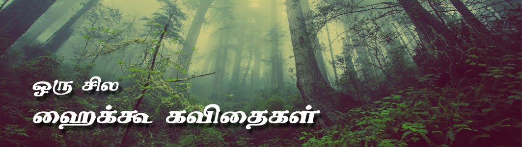 ஒரு சில ஹைக்கூ கவிதைகள்