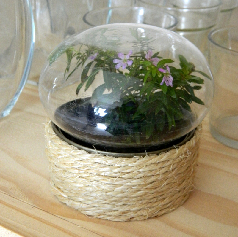 Casi un terrario DIY