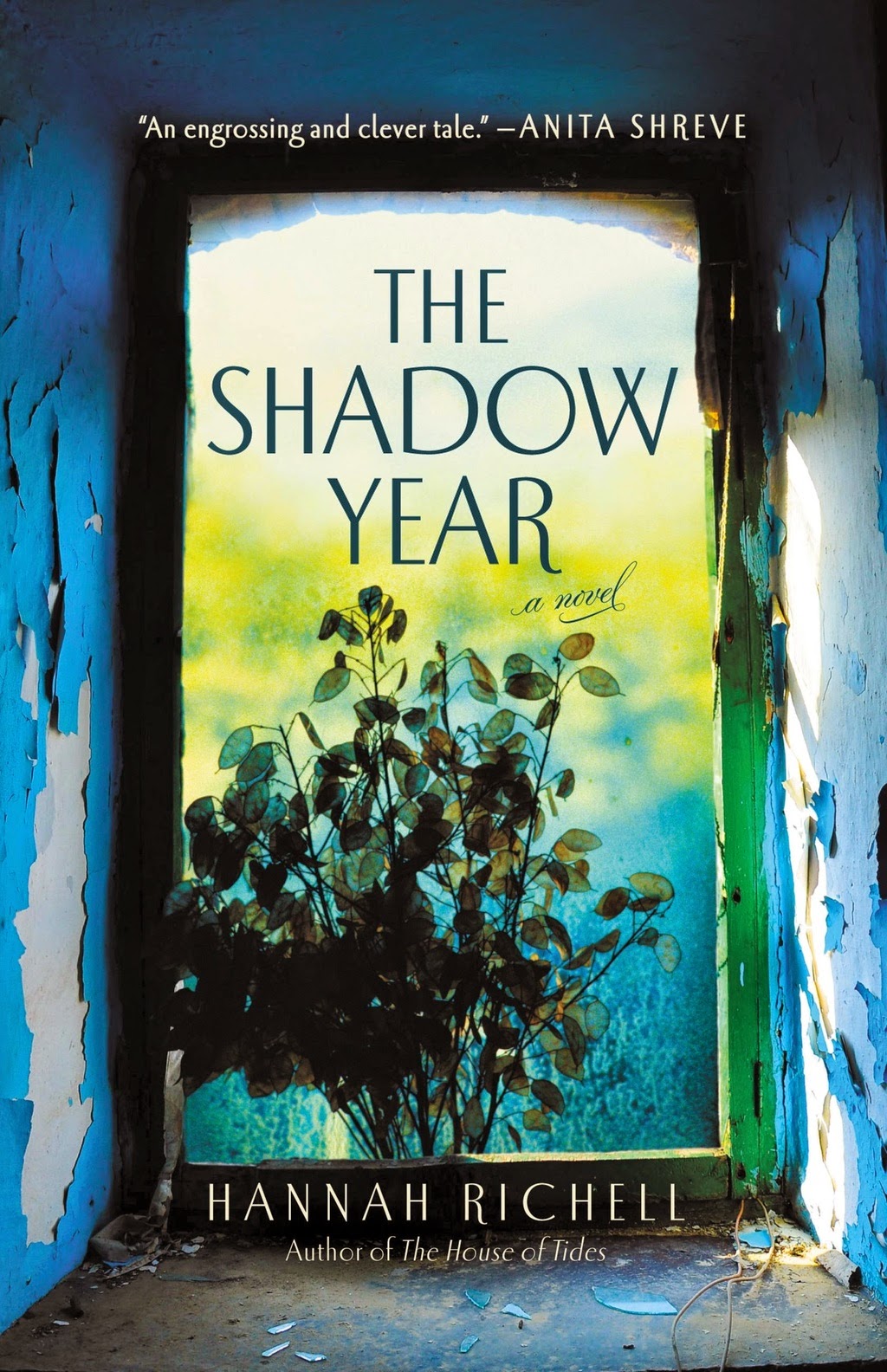 Book Spotlight: The Shadow Year by Hannah Richell