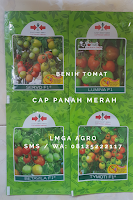 jual bibit tanaman, tanaman tomat, tomat buah, jual benih tomat f1, lmga agro