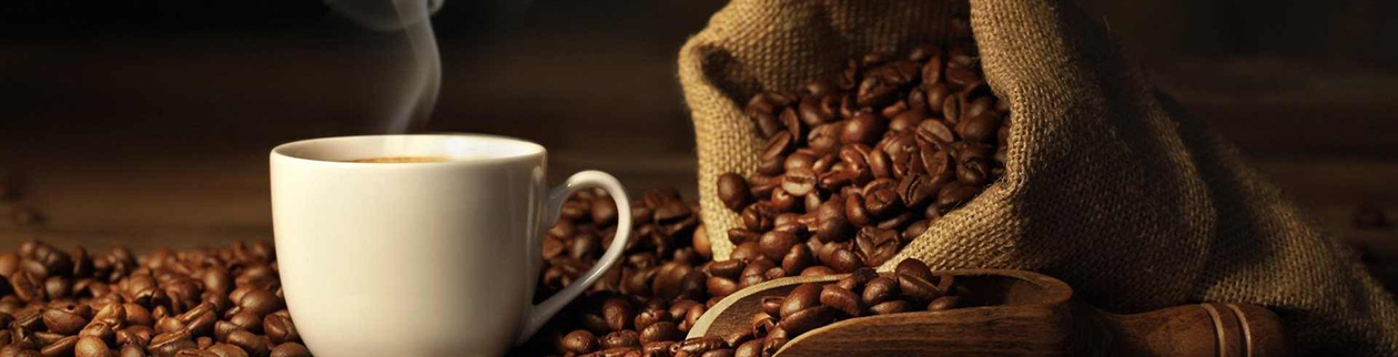 Ремонт Кофемашин Одесса (Delonghi Saeco Krups Gaggia)