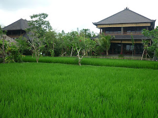 Job Vacancy as Cook at Bliss Ubud Spa & Bungalow Job Vacancy as Cook at Bliss Ubud Spa & Bungalow