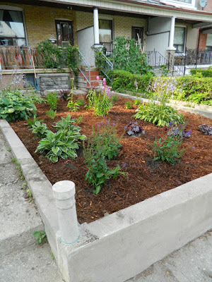 Bloordale garden clean up Paul Jung Gardening Services Toronto after