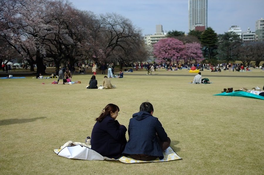 Shinjuku hanami 2017