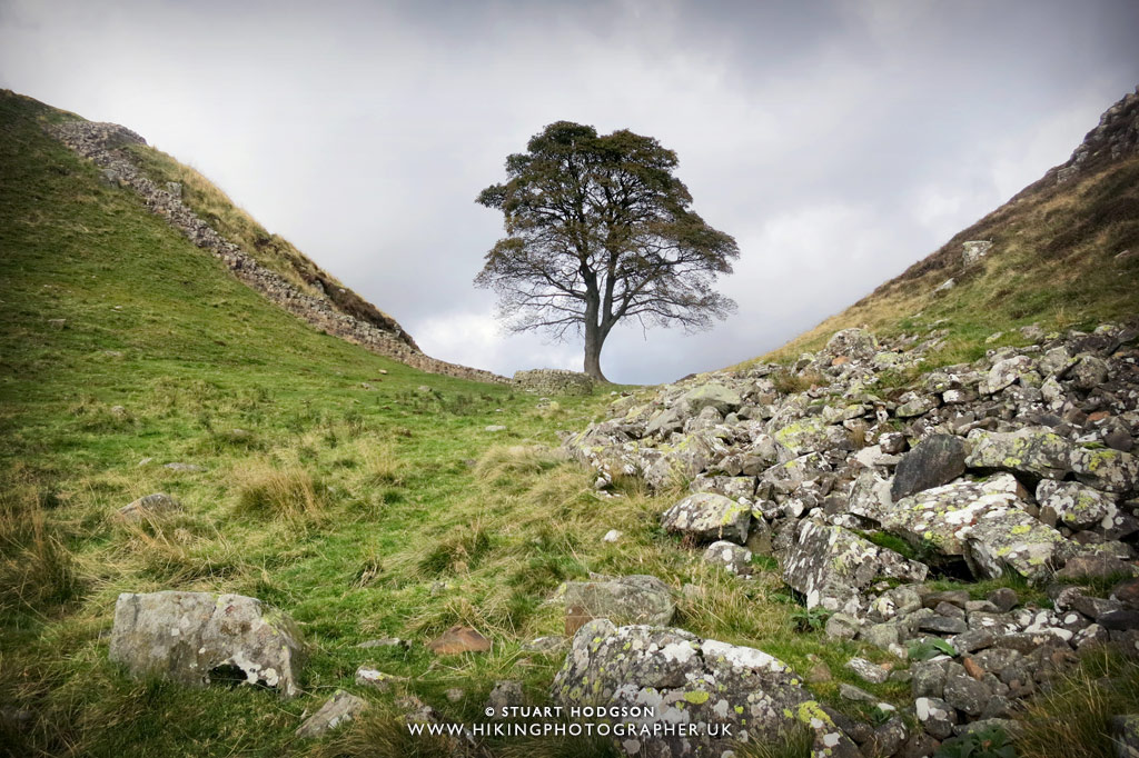 Best Hadrian's Wall walk & best views guide Path from Steel Rigg to Housesteads, via Sycamore