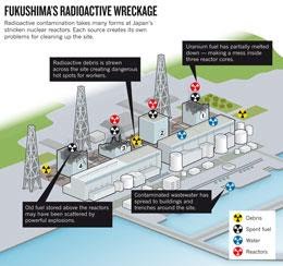 Fukushima Emergency what can we do?: Fukushima: A Hushed Up Catastrophe