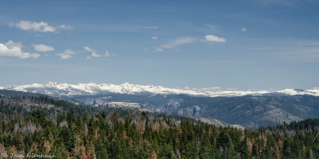 Pacific Northwest Photography Yosemite Crane Flat Lookout