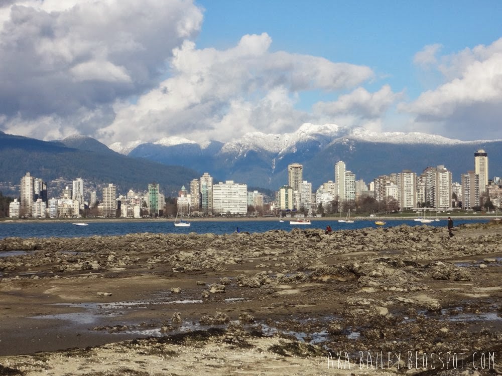 View of Downtown Vancouver from Kitsilano Beach