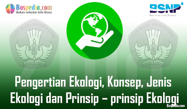 Pengertian Ekologi, Konsep, Jenis Ekologi Dan Prinsip