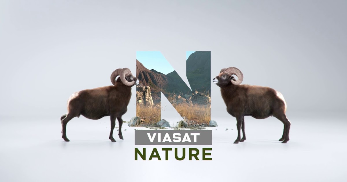 The Branding Source: From Idents for Viasat Nature by WeAreSeventeen