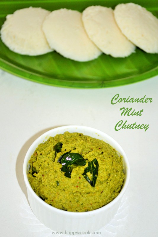 Featured image of post Simple Way to Pudina Chutney For Dosa In Telugu