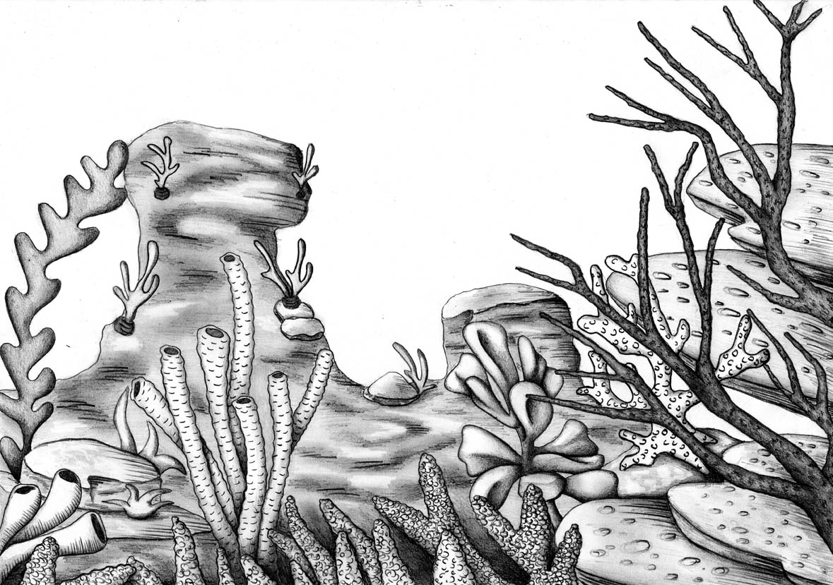 Fondo Mundo Submarino Paisaje Dibujos Animados Mar de Pantalla Imagen para  Descarga Gratuita  Pngtree