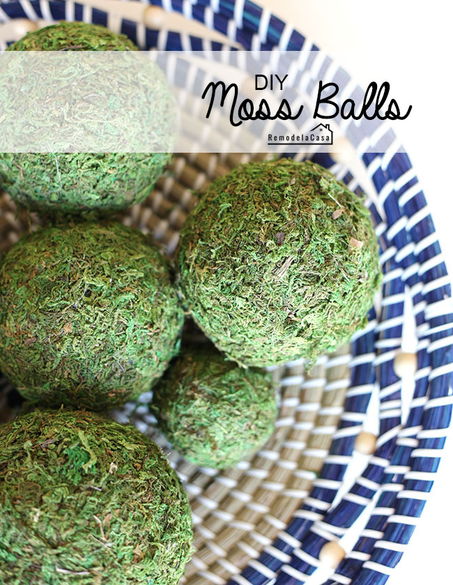 DIY - Affordable Moss Balls - Remodelando la Casa