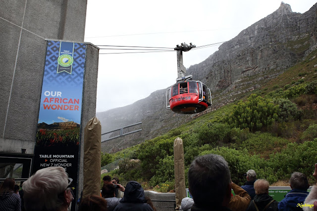 Ciudad del Cabo y Garden Route - Blogs of South Africa - 20-11-18. Primer día en Ciudad del Cabo. (7)