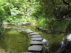 Japanese Garden Area