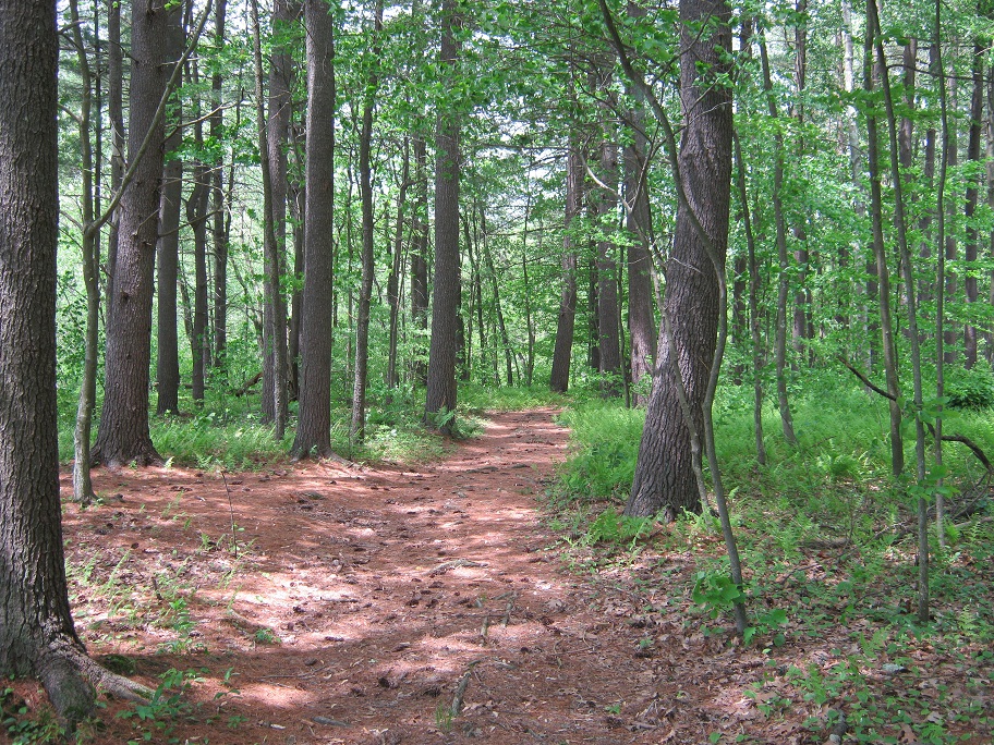Kayak The Merrimack Nashua River Pepperell / Groton MA