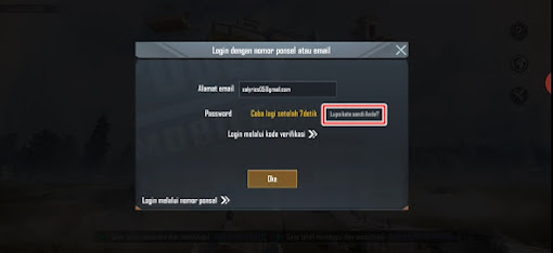 How to Change Email Password Related to PUBG Mobile 5