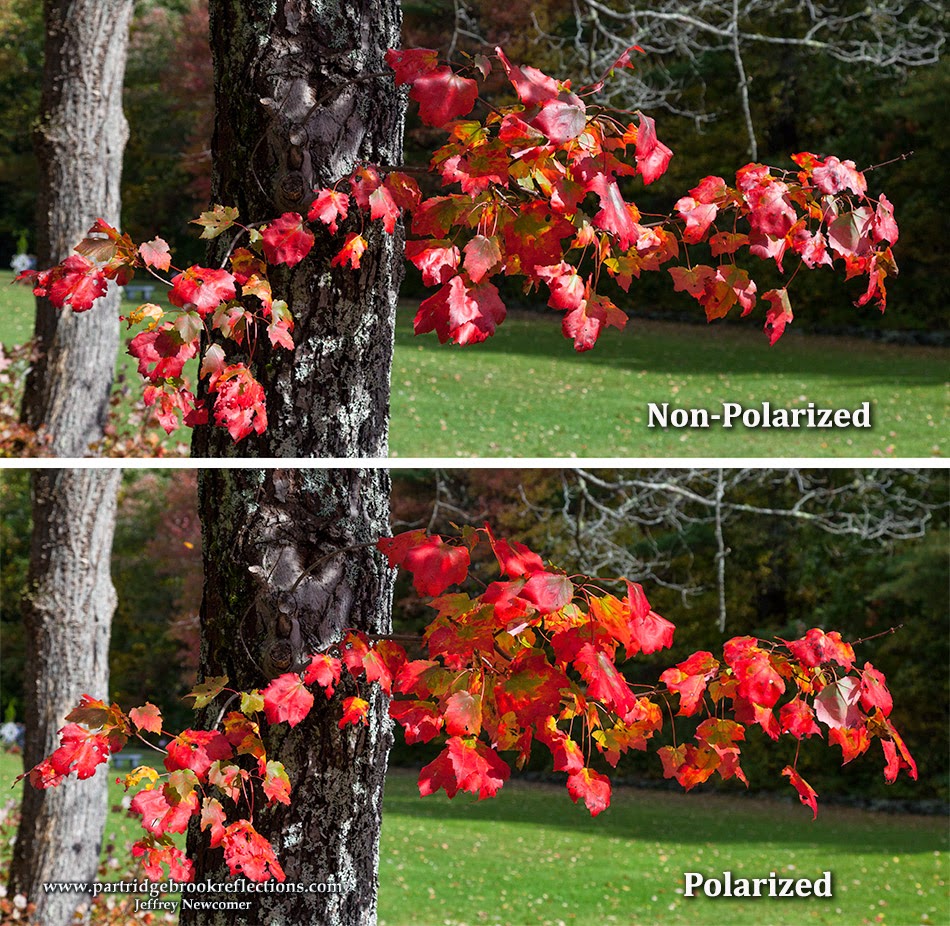 Getting it Right in the Digital Camera : Fall Foliage Photography, The ...
