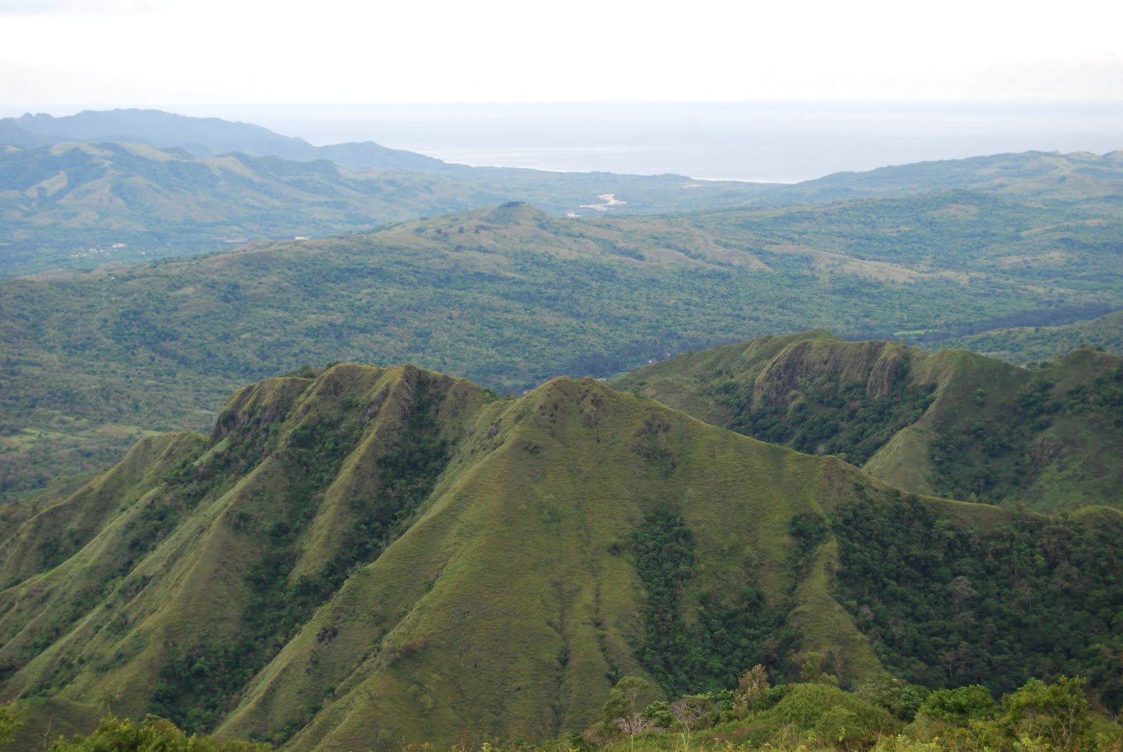 LAIWANGI WANGGAMETI: Sekilas tentang Taman Nasional Laiwangi Wanggameti