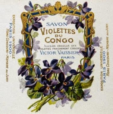 Violettes du Congo