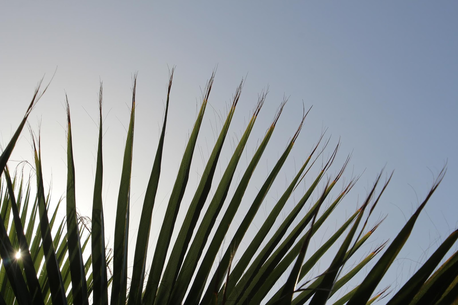 Frechewitzeliebespruche Spruche Spruch Gefuhle Herz Zitate