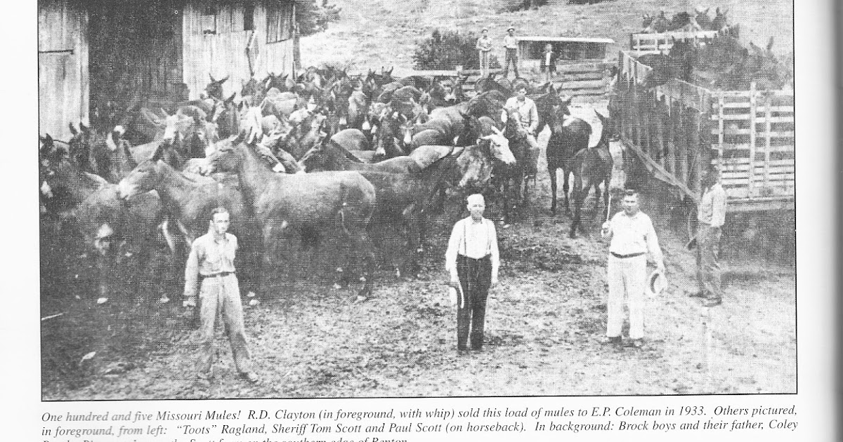 Scott County Genealogy & Historical Society Scott County Historical