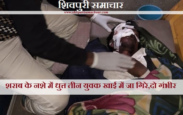 शराब के नशे में धुत 3 युवक खाई में जा गिरे, 2 गंभीर - Bairad News