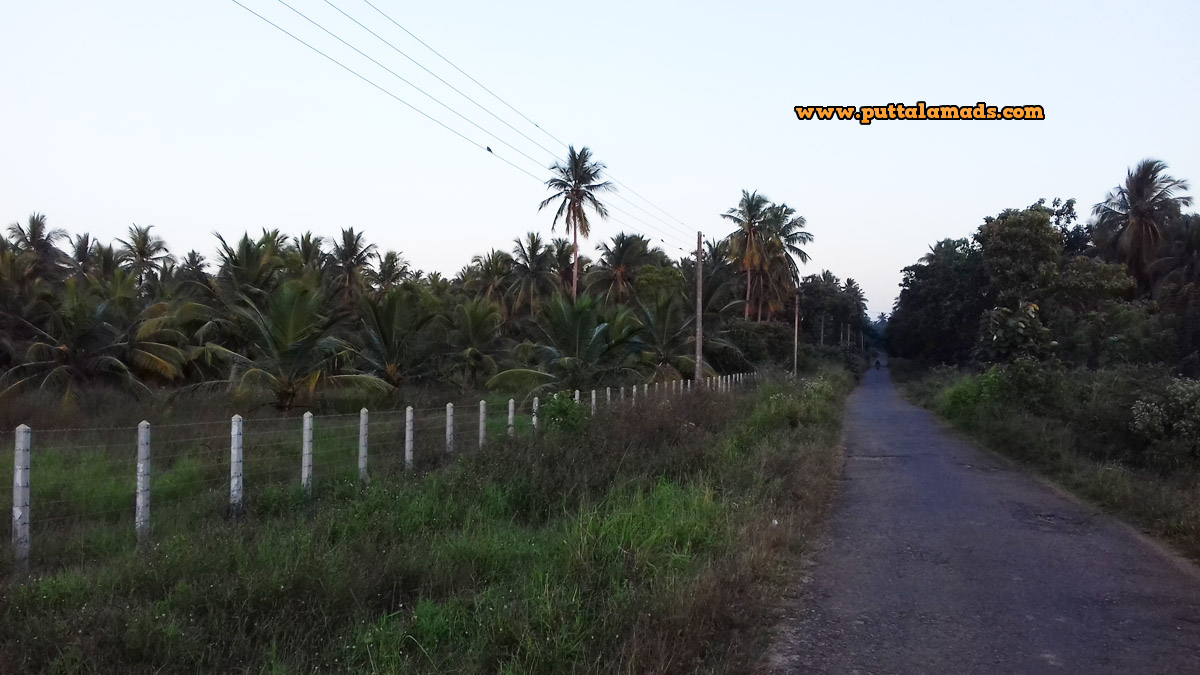 10 Acres Coconut Land in Attawillu (SOLD) Real Estate and Land