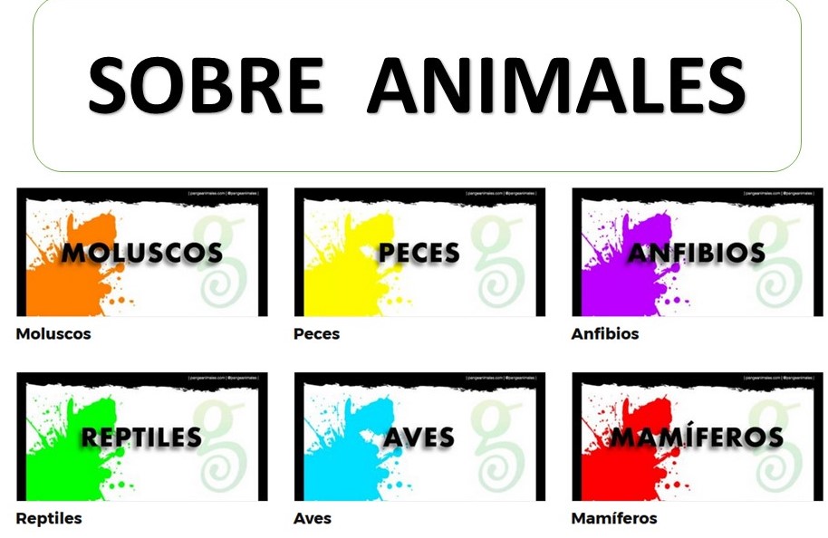 ENCICLOPEDIA DE ANIMAIS ONLINE