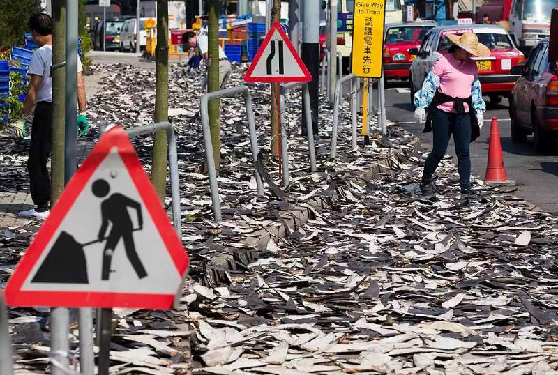 Barbatanas de tubarÃ£o secam no distrito Sheung Wan de Hong Kong