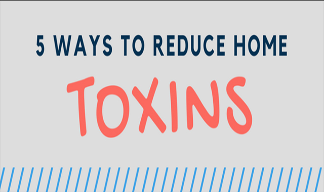 How to reduce toxins in your home – 5 Easy Ways  