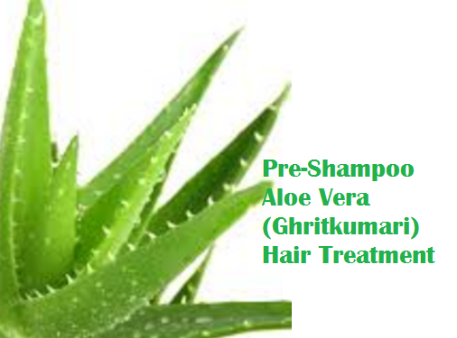 Pre-Shampoo Aloe Vera (Ghritkumari) Hair Treatment