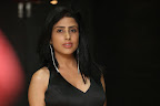 Pragya sizzling at Vangaveeti movie event-thumbnail-cover