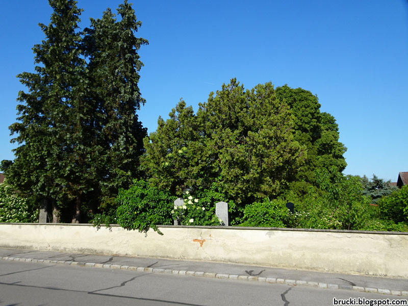 Sammelsurium Mai 2017