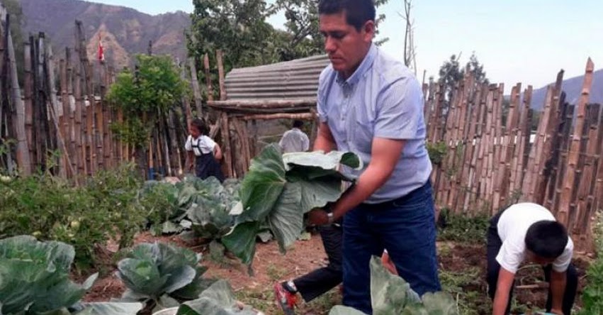 Escolares crean huerto para complementar su alimentación en sierra de Piura Escolares crean huerto para complementar su alimentación en sierra de Piura