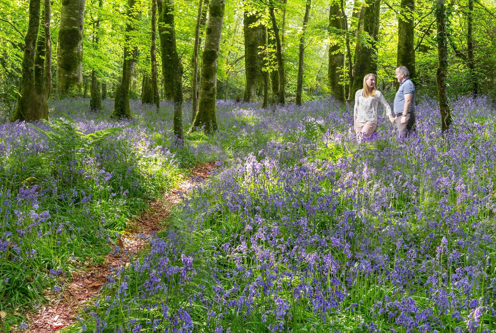 Listowel Connection Cole Cutlery of Listowel and Photos of Tralee in